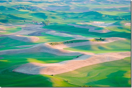 Palouse at Sunset