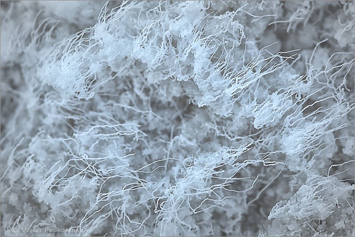 Salt Crystals Shaped by Wind