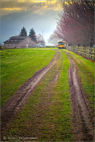 Bus at the End of the Road