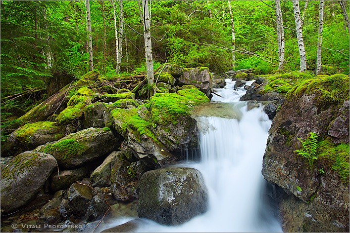 Spring Spring (Homestead Creek)