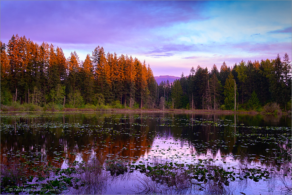 National Park in the&nbsp;Backyard
